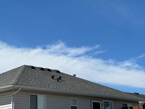 Best Skylight Installation and Repair  in Troy, TN